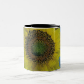 zonnebloemkoffiekopje tweekleurige koffiemok