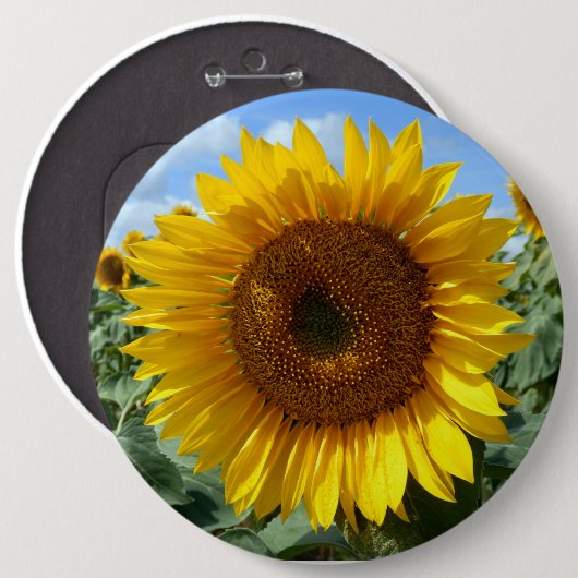 Zonnebloemkolossale ronde badge ronde button 6,0 cm (Voorkant /achterkant)