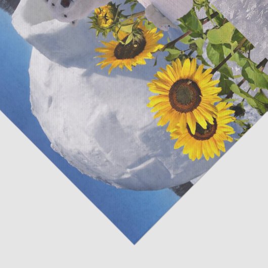 Zonnebloemkool, Beer Tissuepapier (Detail)