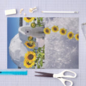 Zonnebloemkool, Beer Tissuepapier (Craft)