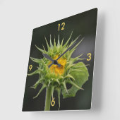 Zonnebloemkool Bud Wall klok (Hoek)