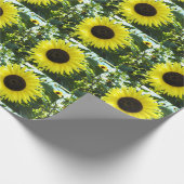 Zonnebloemkool, krulpapier cadeaupapier (Hoek)