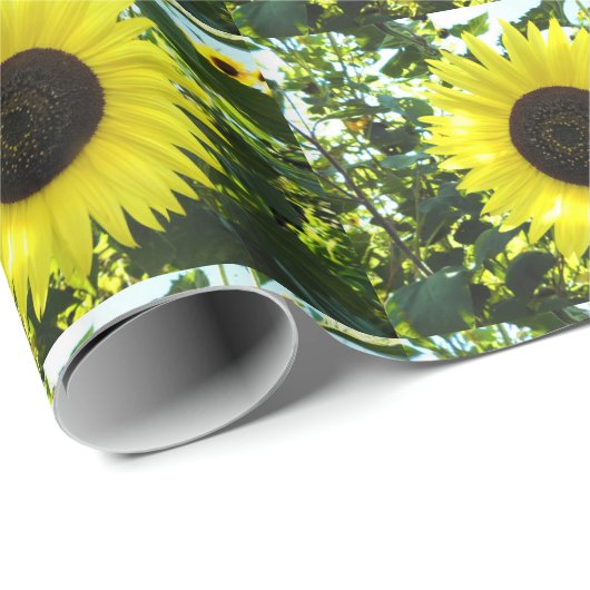 Zonnebloemkool, krulpapier cadeaupapier (Rol Hoek)