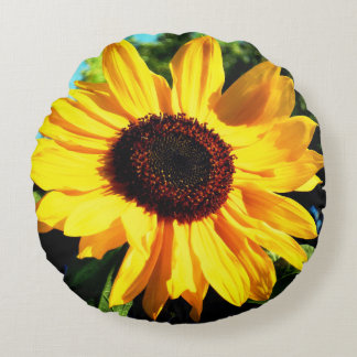 Zonnebloemkool Rond Kussen