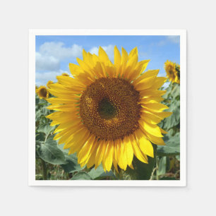 Zonnebloemkstaart, Napels Servet