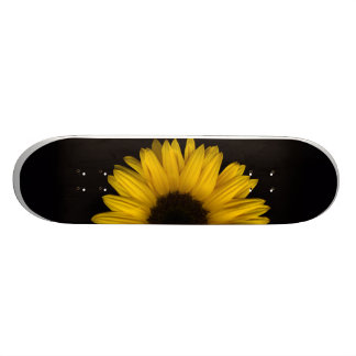 Zonnebloemkweekskateboard Pro Persoonlijk Skateboard