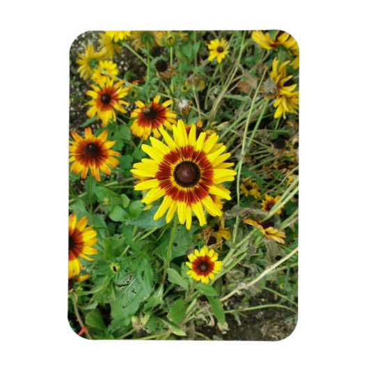 Zonnebloemmagneet Magneet (Verticaal)