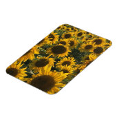 zonnebloemmagneet magneet (Linkerzijde)