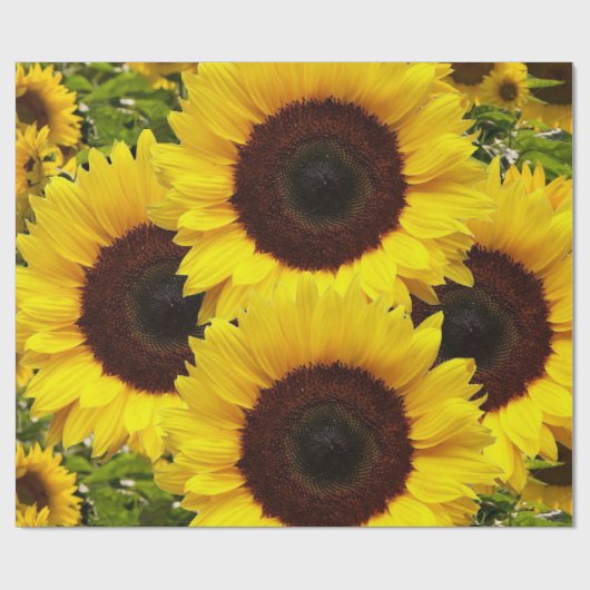 Zonnebloemmatte ompakken papier (Vlak)