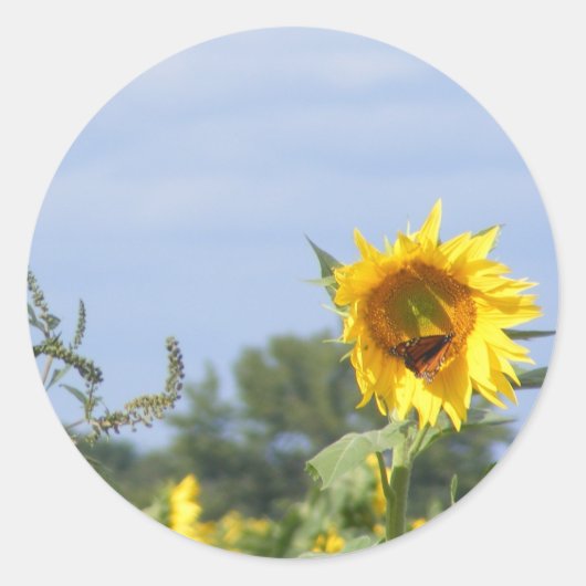 Zonnebloemmonarch - Aanpassen! Ronde Sticker (Voorkant)