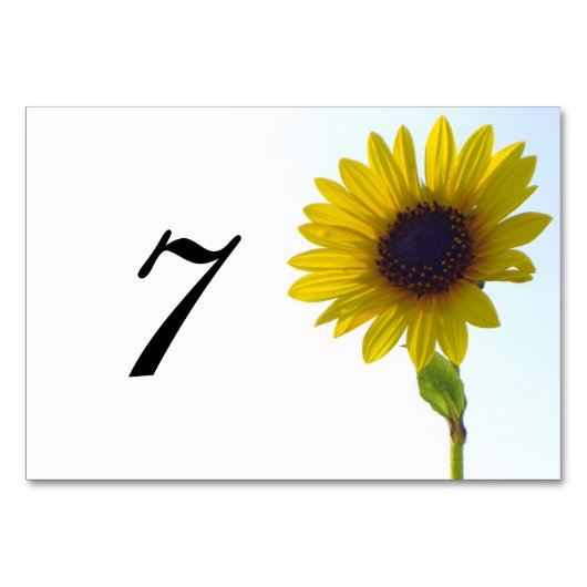 Zonnebloemnummer Kaart (Achterkant)