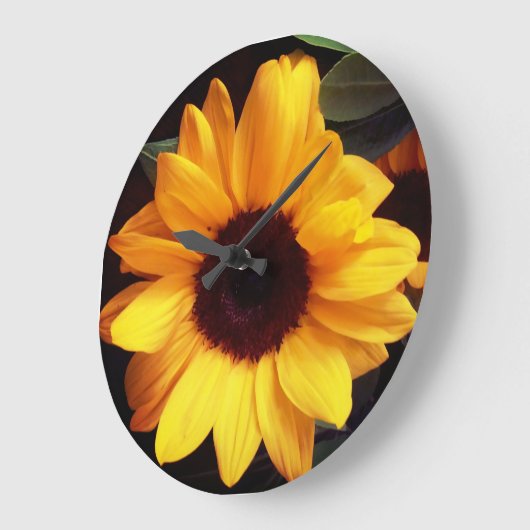 Zonnebloemontwerptuin Grote Klok (Hoek)