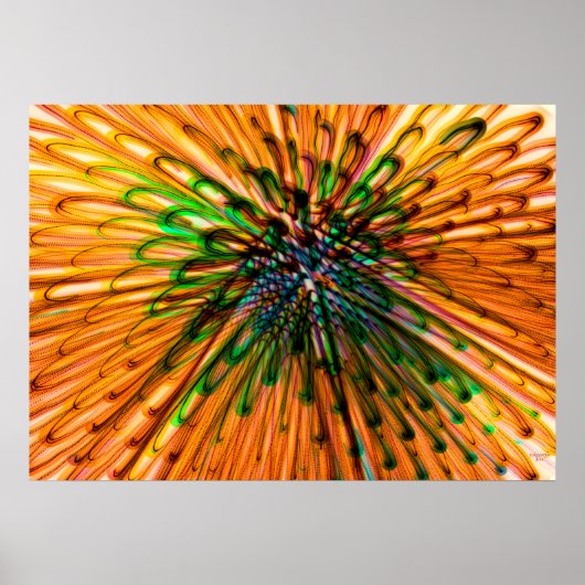 Zonnebloemorgel Poster (Voorkant)