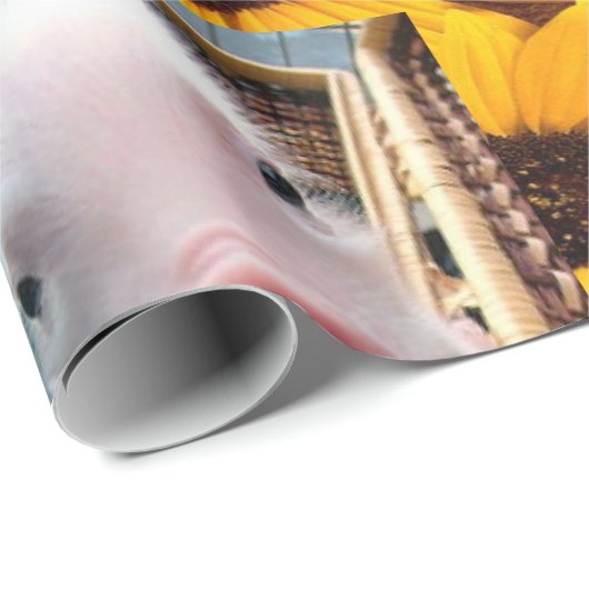 Zonnebloemparepapier Cadeaupapier (Rol Hoek)