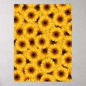 Zonnebloempatroon, gele schoonheid poster (Voorkant)