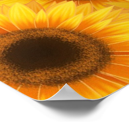 Zonnebloempatroon, gele schoonheid poster (Hoek)