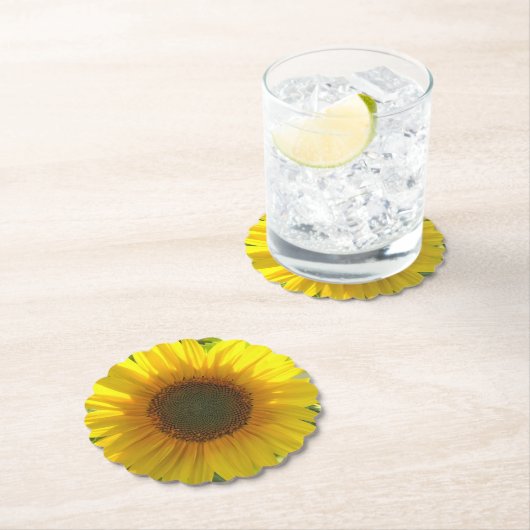 Zonnebloempit Kartonnen Onderzetters (Insitu)