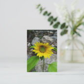 zonnebloempitekaart informatiekaartje (Staand voorkant)
