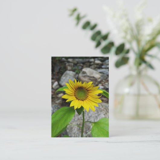 zonnebloempitekaart informatiekaartje (Staand voorkant)