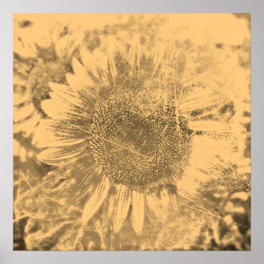 zonnebloempitten #2 - Posters (Voorkant)