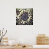  zonnebloempitten #3 - Posters (Keuken)