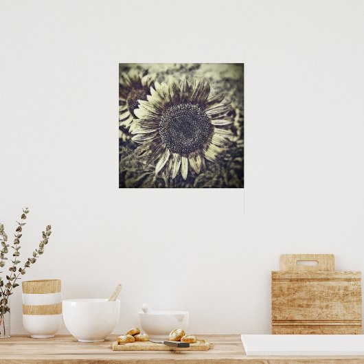  zonnebloempitten #3 - Posters (Keuken)