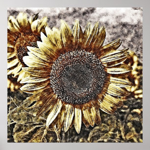 zonnebloempitten #4 - Posters