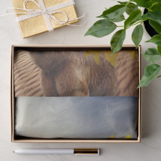 Zonnebloempitten, Beer Tissuepapier (Geschenk)