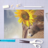 Zonnebloempitten, Beer Tissuepapier (Craft)