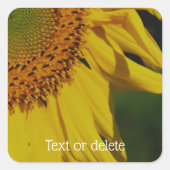 Zonnebloempitten - Bloem - Aangepast Vierkante Sticker (Voorkant)