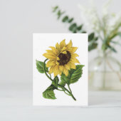 zonnebloempitten briefkaart (Staand voorkant)