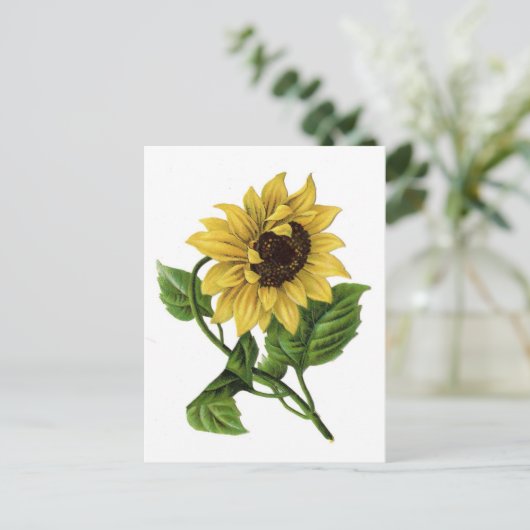 zonnebloempitten briefkaart (Staand voorkant)