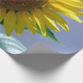 Zonnebloempitten Cadeaupapier (Hoek)