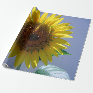 Zonnebloempitten Cadeaupapier