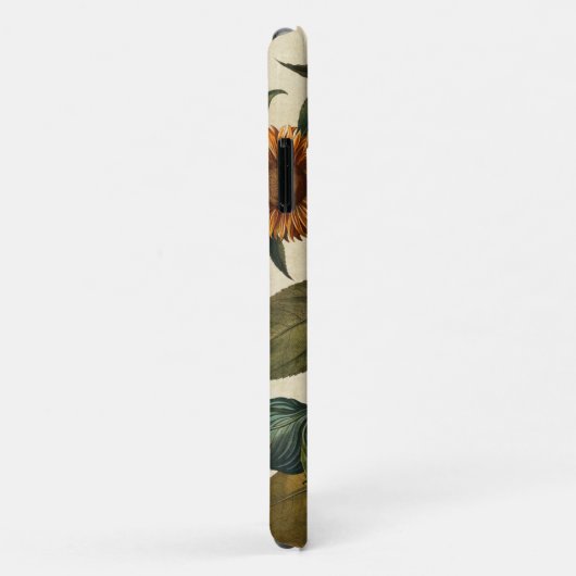  zonnebloempitten Case-Mate iPhone case (Achterkant/rechts)