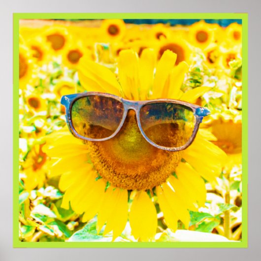 Zonnebloempitten Chic Poster (Voorkant)