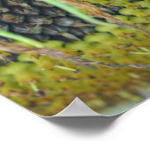 Zonnebloempitten dicht bij de ventilator poster (Hoek)