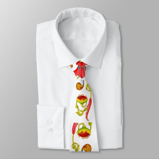 zonnebloempitten en -krenten stropdas (Gebonden)