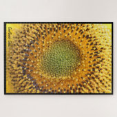 Zonnebloempitten Jigsaw puzzel (Horizontaal)