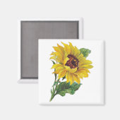  zonnebloempitten magneet (Voorkant / Achterkant)