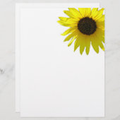 Zonnebloempitten met één hoek (Voorkant / Achterkant)