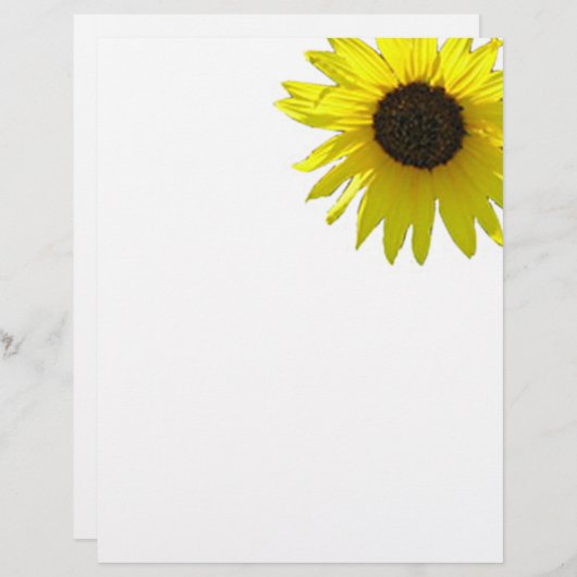 Zonnebloempitten met één hoek (Voorkant / Achterkant)