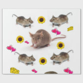 Zonnebloempitten, omhuld papier (Vlak)