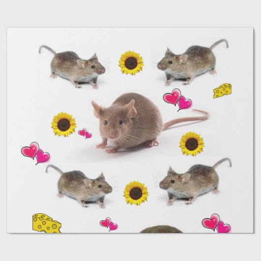 Zonnebloempitten, omhuld papier (Vlak)