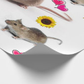 Zonnebloempitten, omhuld papier (Hoek)