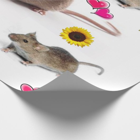 Zonnebloempitten, omhuld papier (Hoek)