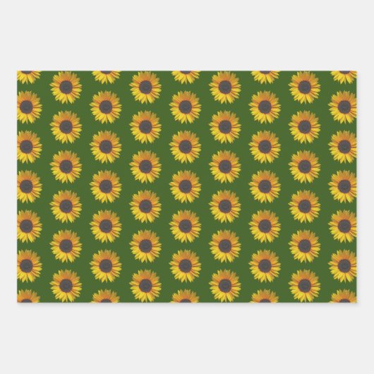 Zonnebloempitten op groen inpakpapier vel (Voorkant)