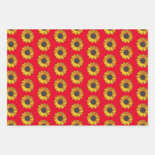 Zonnebloempitten op rood inpakpapier vel (Voorkant 2)