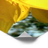 Zonnebloempitten op tdgalerij poster (Hoek)