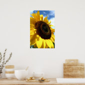 Zonnebloempitten op tdgalerij poster (Keuken)